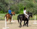 pony camp img034