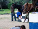 pony camp img048