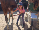 pony camp img016