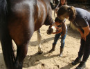 pony camp img026