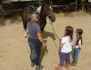 pony camp img027