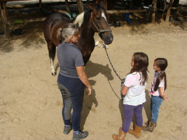 pony camp img027