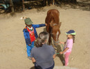 pony camp img028