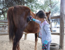 pony camp img042
