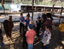 pony camp img046