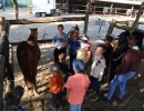 pony camp img047
