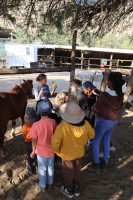 pony camp img049